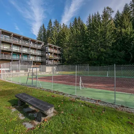 Appartement Des Tines *